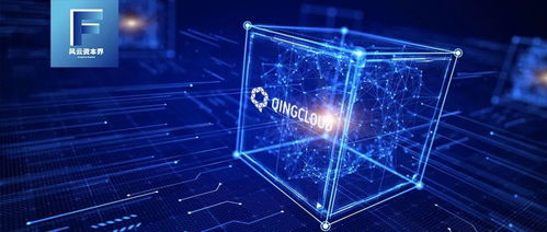 強(qiáng)敵林立，青云科技如何以技術(shù)服務(wù)突圍阿里、華為等巨頭？