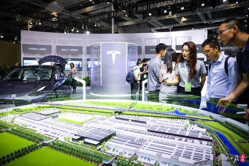 首屆上海碳博會展示碳中和科技風向，軟件技術開發成重要推動力